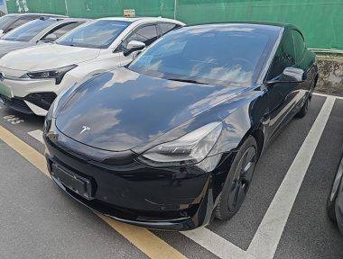 Tesla Model 3 2021 car image 