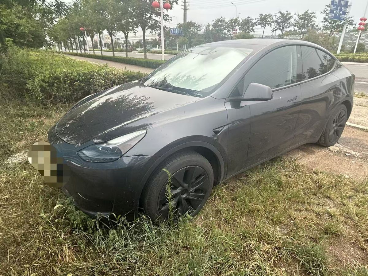 Tesla Model Y 2024 car image 