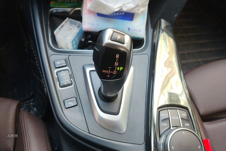 BMW 3 Series 2019 car image #16