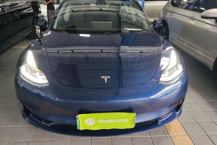 Tesla Model 3 2021 #3 Tesla Model 3 2021 car image #3