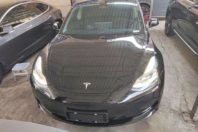 Tesla Model 3 2021 #3 Tesla Model 3 2021 car image #3
