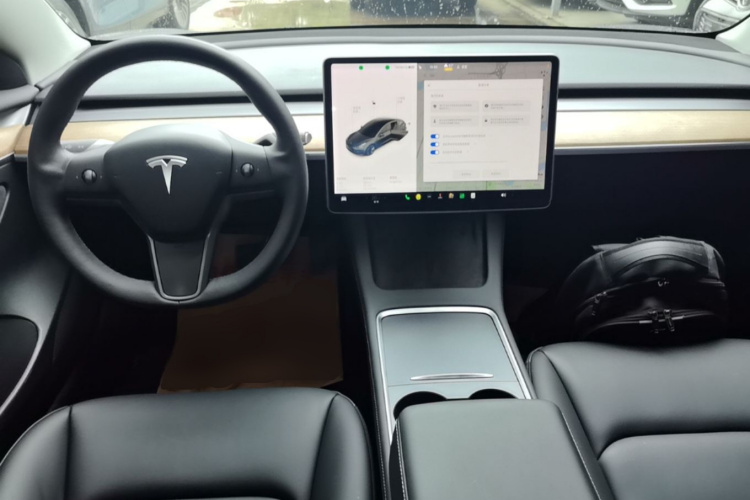 Tesla Model 3 2021 immagine di auto #10