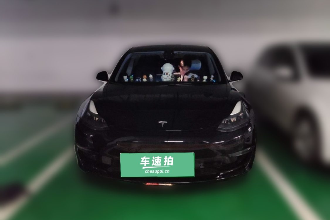 Tesla Model 3 2021 immagine di auto #5