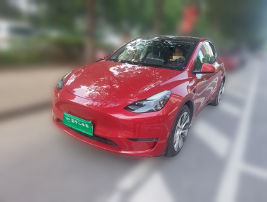 Tesla Model Y 2021 car image 