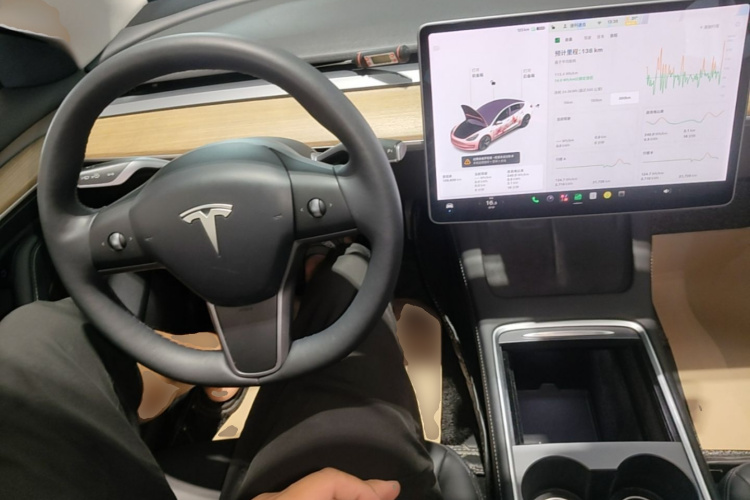 Tesla Model 3 2021 #10 Tesla Model 3 2021 car image #10