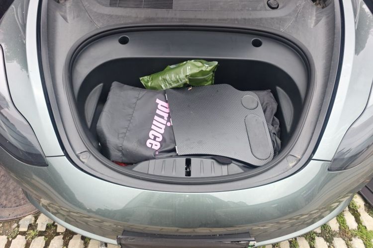 Tesla Model 3 2021 car image #22