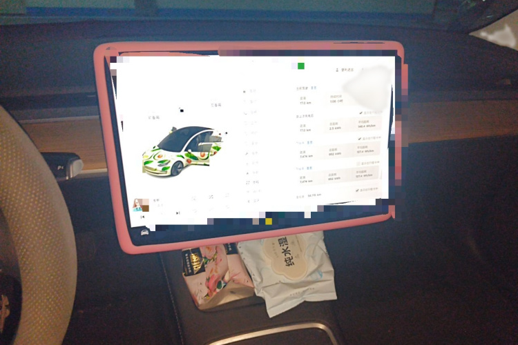 Tesla Model 3 2021 car image #17