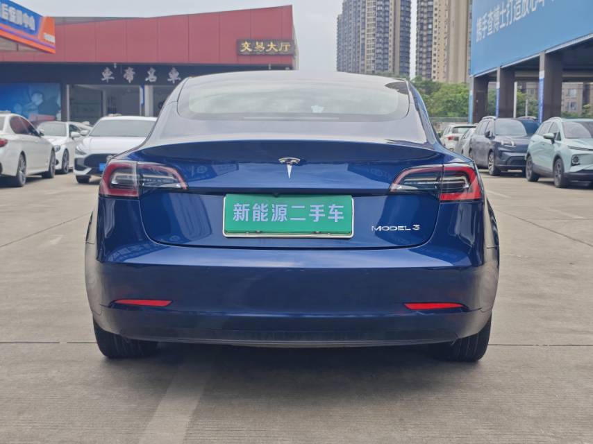 Tesla Model 3 2021 car image #5