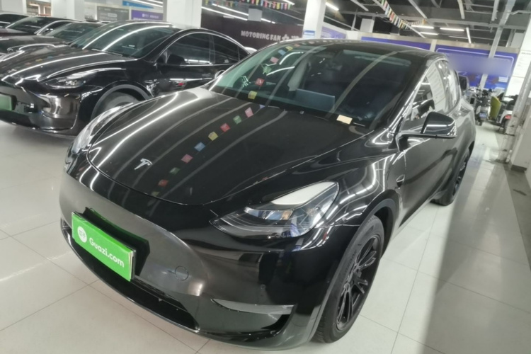 Tesla Model Y 2021 #2 Tesla Model Y 2021 car image #2