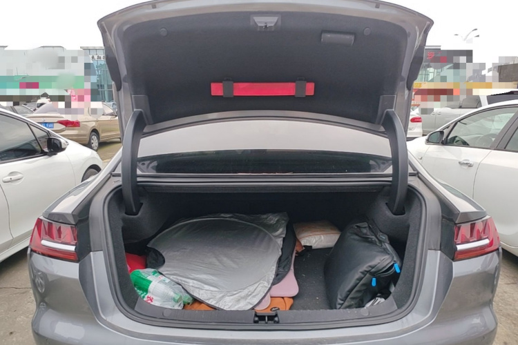 BYD Han 2021 #19 BYD Han 2021 immagine di auto #19