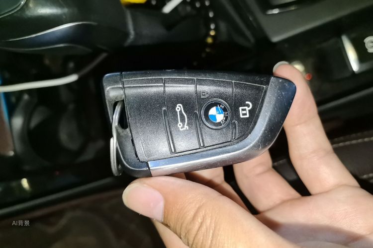 BMW X1 2019 car image #10
