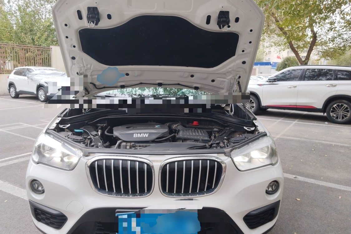 BMW X1 2017 car image #10