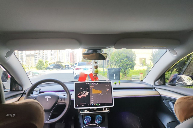 Tesla Model 3 2021 #20 Tesla Model 3 2021 car image #20