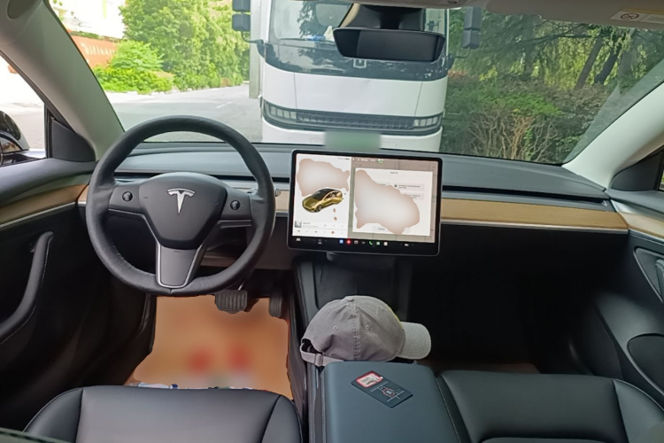 Tesla Model 3 2021 #11 Tesla Model 3 2021 car image #11