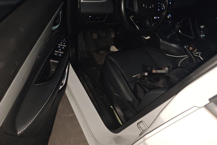 GEELY Emgrand 2020 car image #9