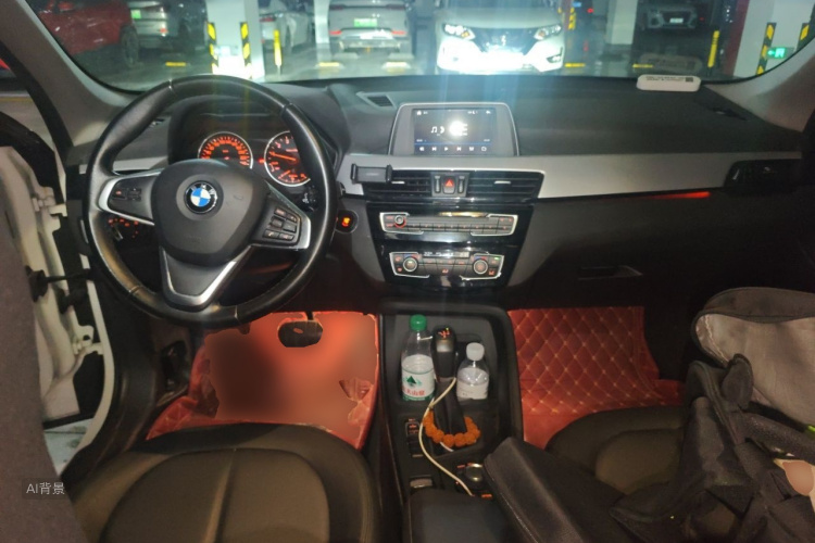 BMW X1 2016 car image #11