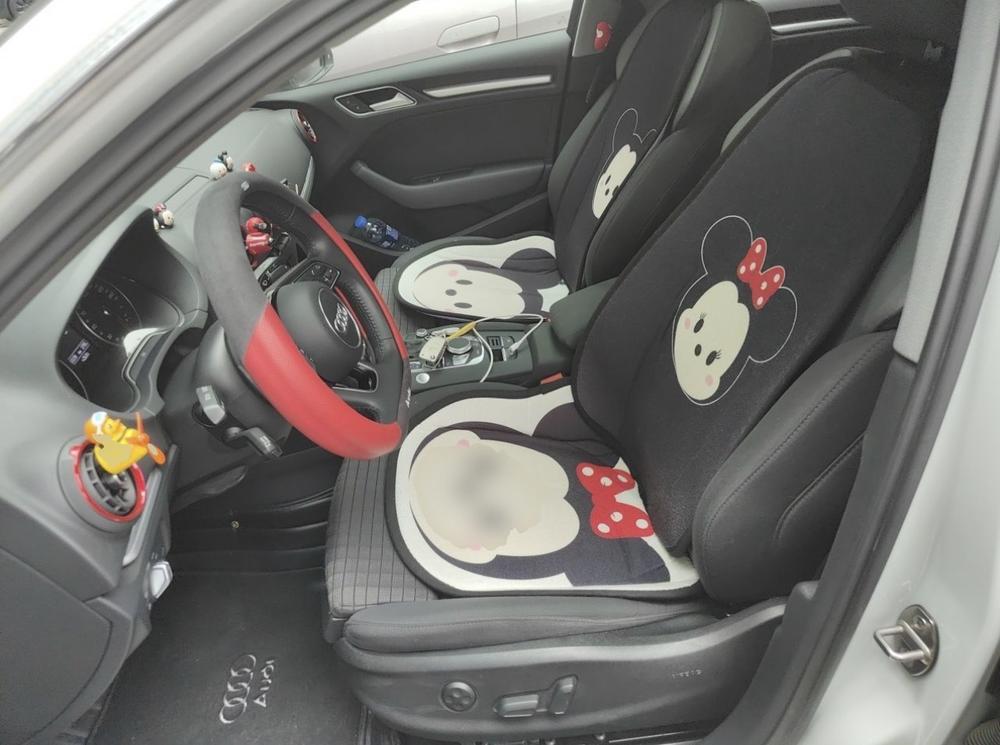 Audi A3 2019 car image #12