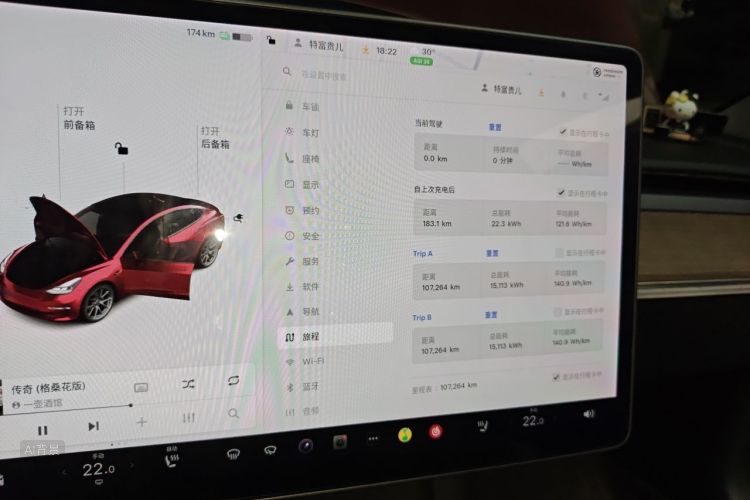 Tesla Model 3 2021 car image #13