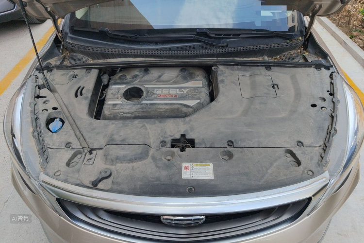 GEELY Emgrand GS 2019 #22 GEELY Emgrand GS 2019 car image #22