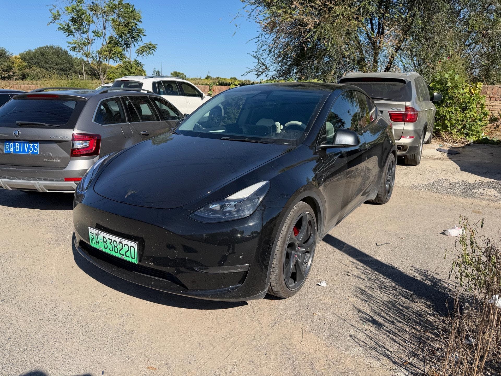 Tesla Model Y 2022 car image 