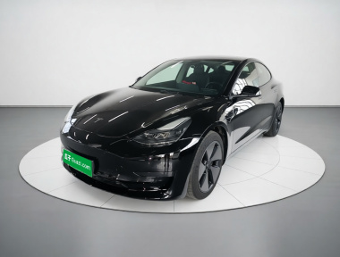Tesla Model 3 2021 car image 