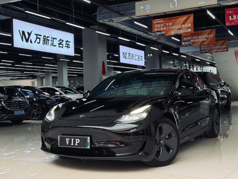 Tesla Model 3 2021 Tesla Model 3 2021 car image