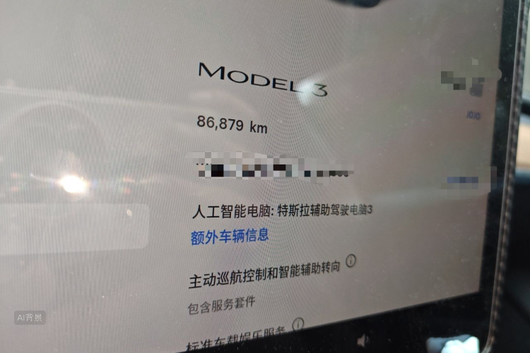 Tesla Model 3 2022 car image #14