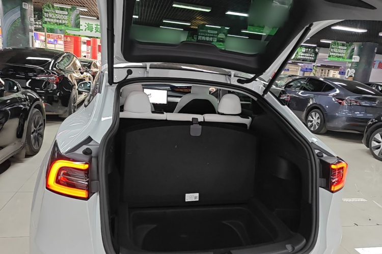 Tesla Model Y 2021 #19 Tesla Model Y 2021 car image #19