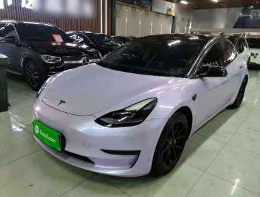 Tesla Model 3 2021 immagine di auto 