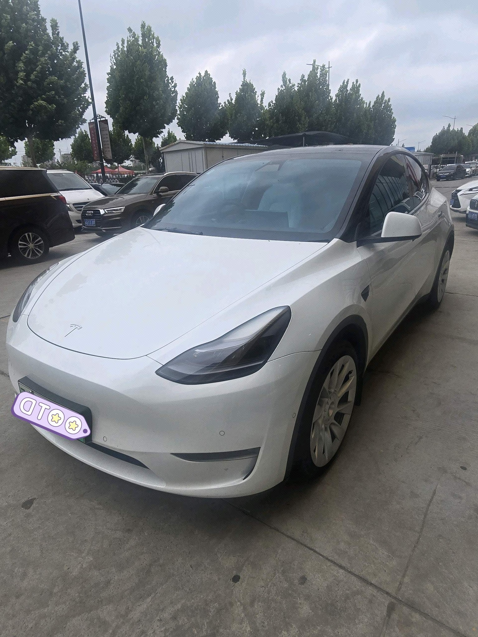 Tesla Model Y 2022 Tesla Model Y 2022 car image
