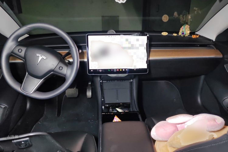 Tesla Model 3 2020 car image #11