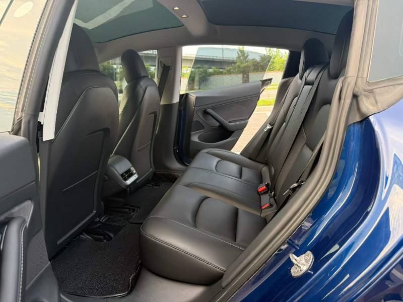 Tesla Model 3 2020 car image #7