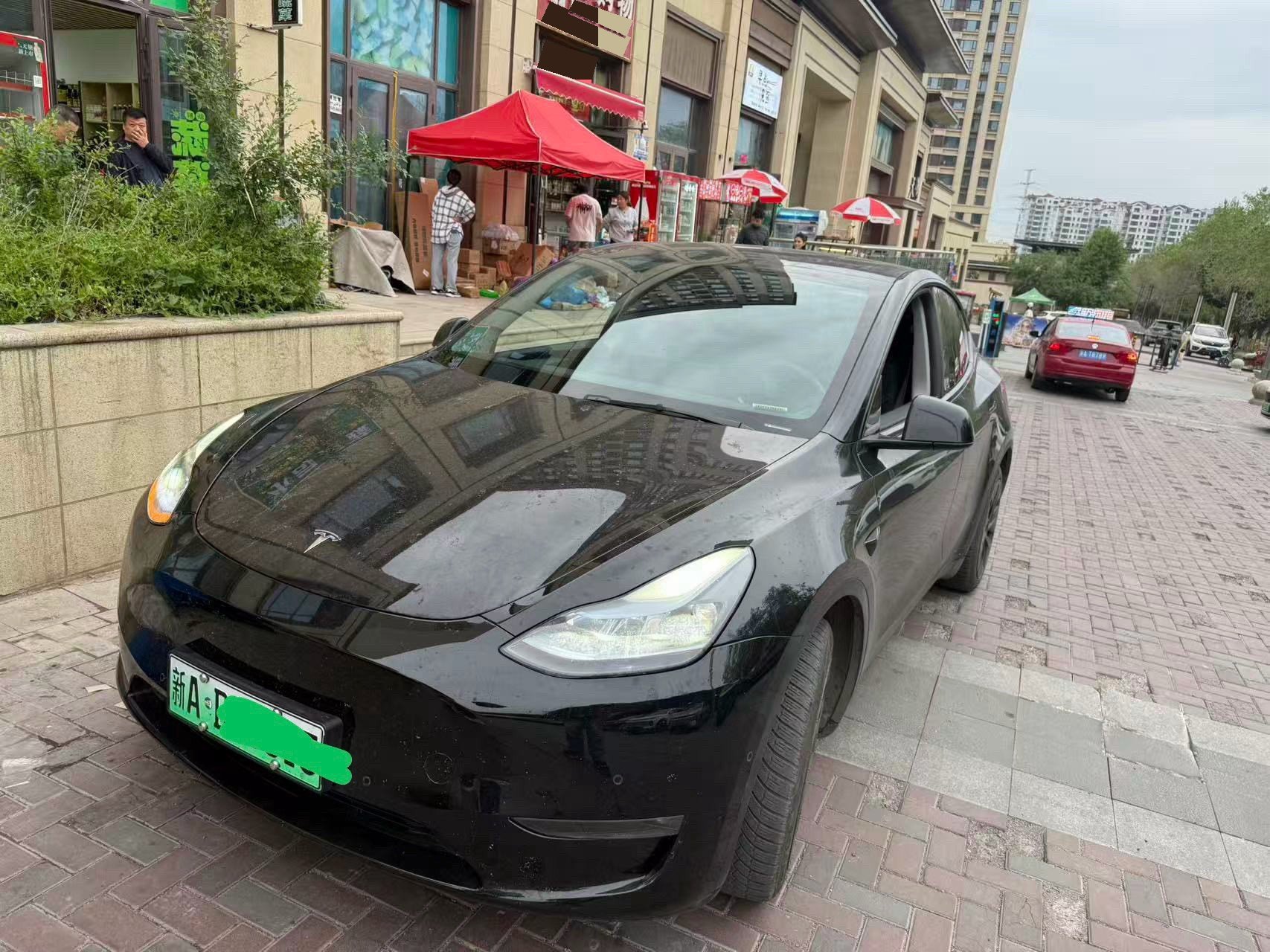 Tesla Model Y 2023 Tesla Model Y 2023 car image