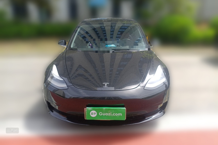 Tesla Model 3 2020 car image #3