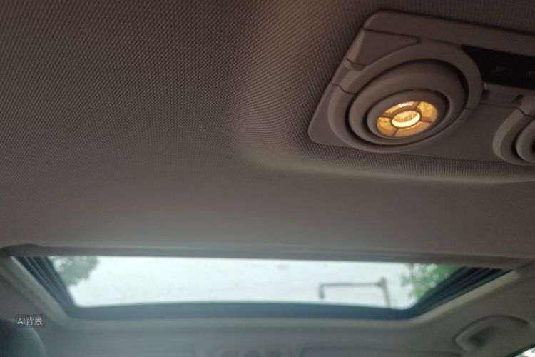 BMW 3 Series 2019 car image #20