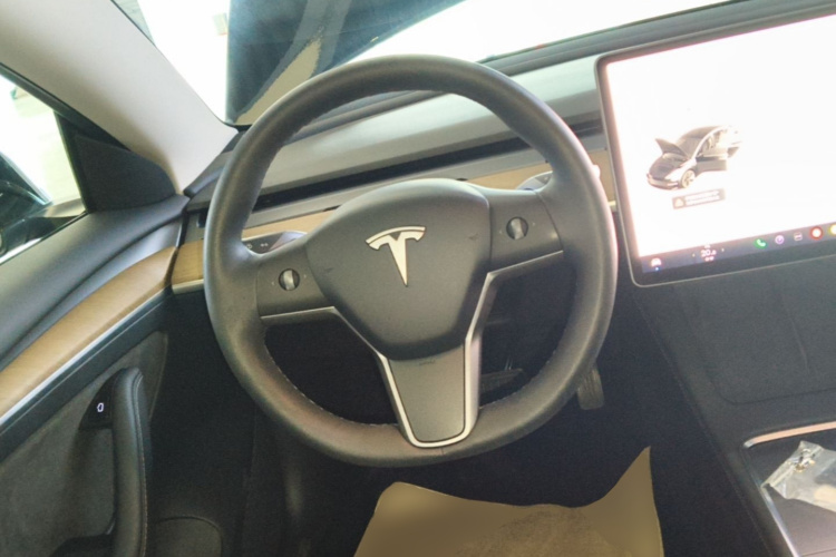 Tesla Model 3 2021 #11 Tesla Model 3 2021 car image #11
