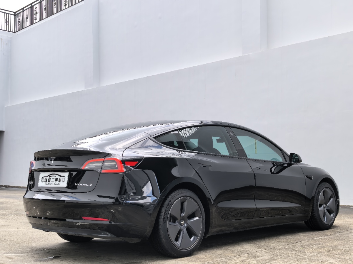 Tesla Model 3 2021 #10 Tesla Model 3 2021 car image #10