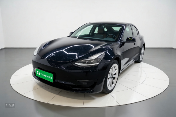 Tesla Model 3 2021 #2 Tesla Model 3 2021 car image #2