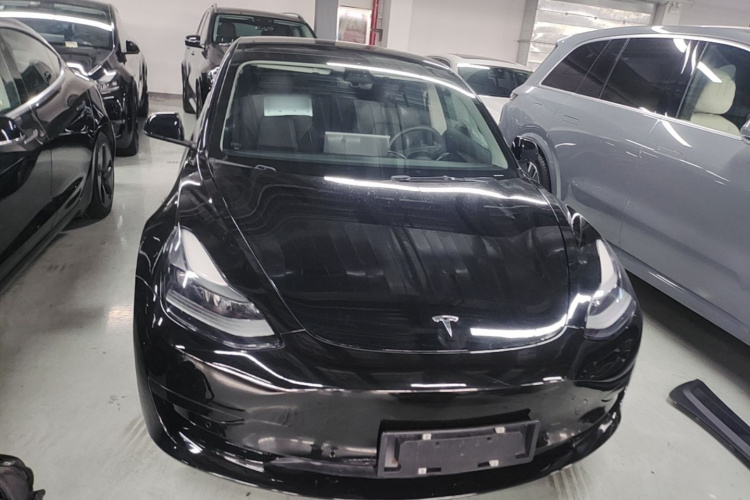 Tesla Model 3 2021 #3 Tesla Model 3 2021 car image #3