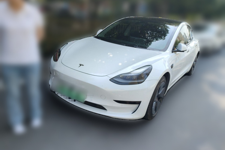 Tesla Model 3 2021 #2 Tesla Model 3 2021 car image #2