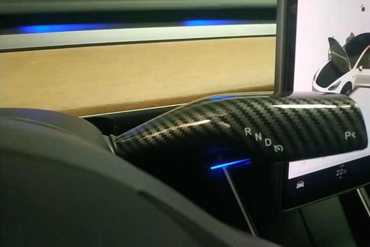 Tesla Model 3 2020 car image #14