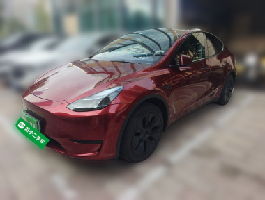 Tesla Model Y 2023 Tesla Model Y 2023 car image