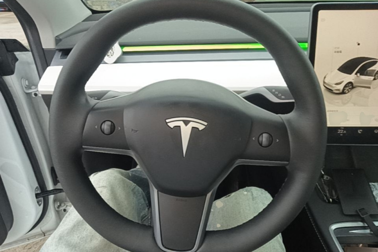 Tesla Model Y 2023 car image #15