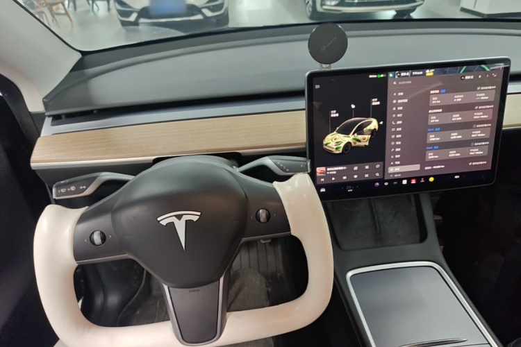 Tesla Model Y 2022 #15 Tesla Model Y 2022 car image #15