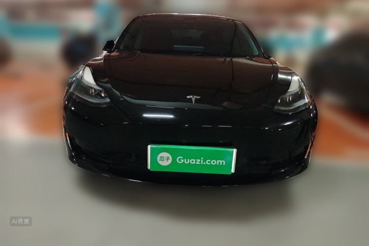 Tesla Model 3 2021 #3 Tesla Model 3 2021 car image #3