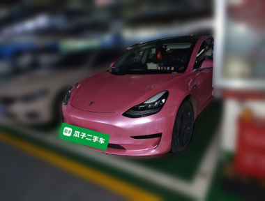 Tesla Model 3 2020 Tesla Model 3 2020 car image