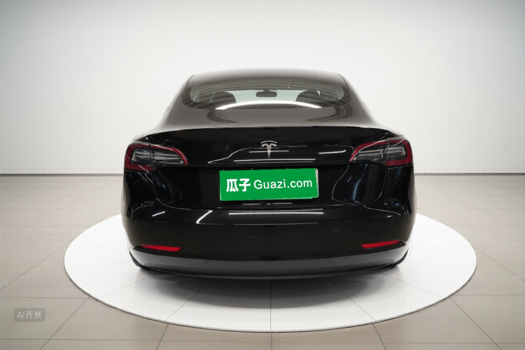 Tesla Model 3 2021 #6 Tesla Model 3 2021 car image #6
