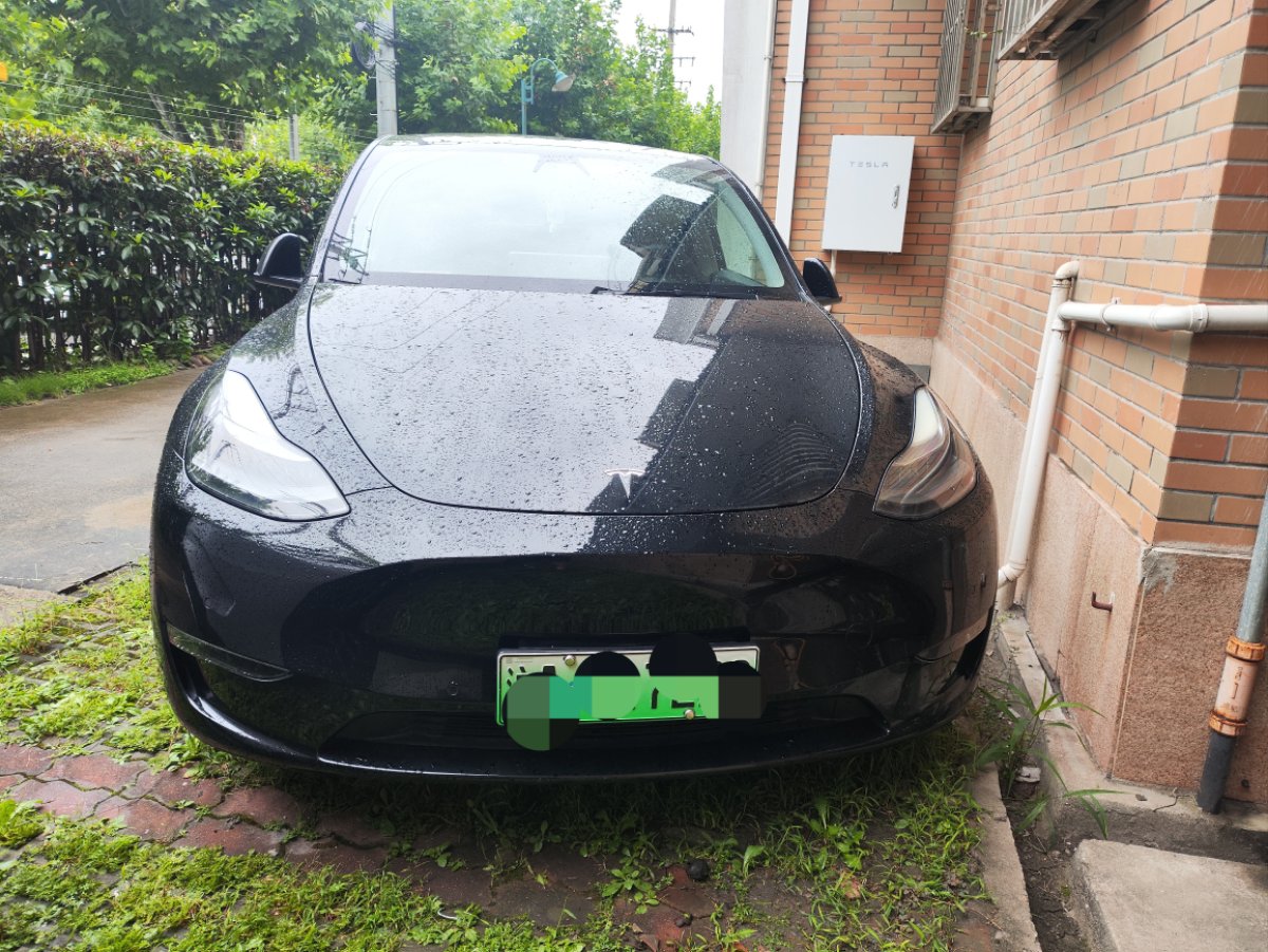 Tesla Model Y 2021 Tesla Model Y 2021 car image