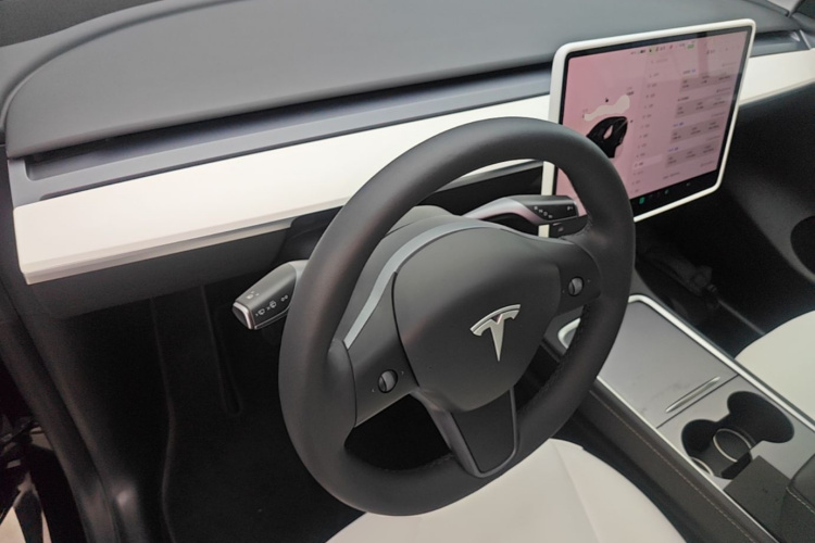 Tesla Model Y 2023 car image #10