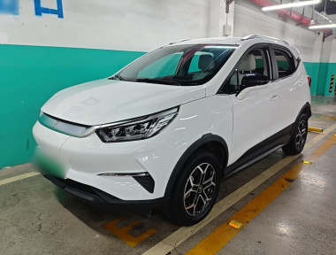 BYD Yuan Pro 2022 car image 
